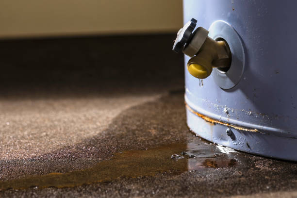 Best Water damage restoration process  in USA